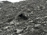 N, Innlandet, Lom, Storebreen 22, Saxifraga-Willem van Kruijsbergen