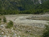 CH, Wallis, Saas Fee, Feegletscher 113, Saxifraga-Willem van Kruijsbergen