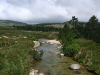 F, Lozere, Tarn 8, Saxifraga-Dirk Hilbers
