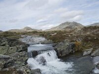 N, Innlandet, Sel, Peer Gynt Hytta 104, Saxifraga-Willem van Kruijsbergen