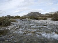 N, Innlandet, Sel, Peer Gynt Hytta 106, Saxifraga-Willem van Kruijsbergen
