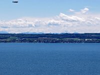 D, Baden-Wuerttemberg, Meersburg 3, Saxifrfaga-Hans Dekker