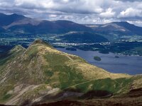GB, Cumbria, Keswick, Maiden Moor 5, Saxifraga-Jan van der Straaten