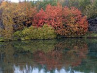 IS, Nordurland eystra, Nordurbing, Myvatn 27, Saxifraga-Dick Hoogenboom