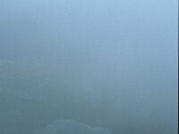 I. Valle d'Aosta, Rhemes-Notre Dame, Lagi Trebecchi 2, Saxifraga-Jan van der Straaten