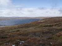 N, Buskerud, Hol, Tuva turisthytte 4, Saxifraga-Willem van Kruijsbergen
