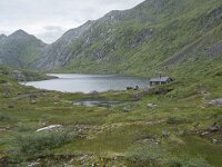 N, Nordland, Vagan, Nokksaetra 1, Saxifraga-Willem van Kruijsbergen