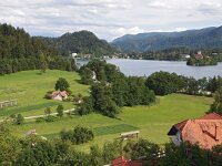 SLO, Gorenjska, Bled 4, Saxifraga-Hans Dekker