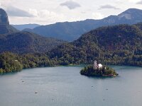 SLO, Gorenjska, Bled 7, Saxifraga-Hans Dekker