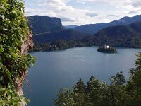 SLO, Gorenjska, Bled 8, Saxifraga-Hans Dekker