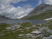 CH, Wallis, Leukerbad, Daubensee 4, Saxifraga-Willem van Kruijsbergen