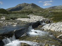 N, Innlandet, Sel, Peer Gynt Hytta 19, Saxifraga-Jan van der Straaten