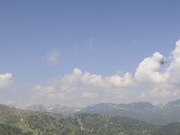 A, Kaernten, Reichenau, Schoberriegel 5, Saxifraga-Luuk Vermeer