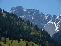 A, Vorarlberg, Nenzinger Himmel 4, Saxifraga-Hans Dekker