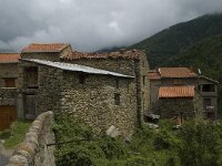 F, Pyrenees Orientales, Py 1, Saxifraga-Jan van der Straaten