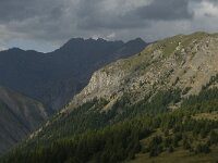I, Lombardia, Stelvio National Park, Livigno 3, Saxifraga-Jan van der Straaten