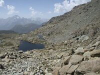 I, Sondrio, Lanzada, Laghi di Campagneda 2, Saxifraga-Willem van Kruijsbergen