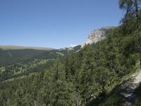 I, Sued Tirol, Sankt Ulrich, Balest 9, Saxifraga-Willem van Kruijsbergen