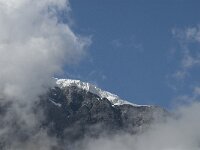 I, Sued Tirol, Stelvio National Park, Sulden, Ortlergletscher 2, Saxifraga-Jan van der Straaten