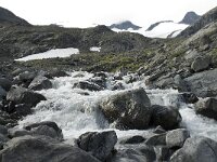 N, Innlandet, Lom, Storebreen 1, Saxifraga-Willem van Kruijsbergen