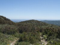 P, Faro, Monchique, Foia 16, Saxifraga-Willem van Kruijsbergen