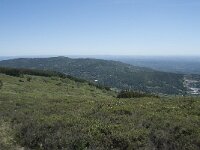 P, Faro, Monchique, Foia 19, Saxifraga-Willem van Kruijsbergen