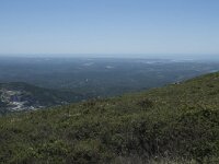 P, Faro, Monchique, Foia 21, Saxifraga-Willem van Kruijsbergen