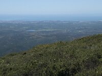 P, Faro, Monchique, Foia 24, Saxifraga-Willem van Kruijsbergen