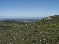 P, Faro, Monchique, Foia 32, Saxifraga-Willem van Kruijsbergen