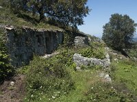 P, Faro, Monchique, Foia 38, Saxifraga-Willem van Kruijsbergen