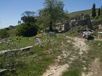 P, Faro, Monchique, Foia 39, Saxifraga-Willem van Kruijsbergen