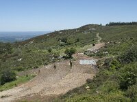 P, Faro, Monchique, Foia 42, Saxifraga-Willem van Kruijsbergen