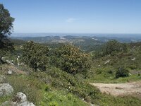 P, Faro, Monchique, Foia 43, Saxifraga-Willem van Kruijsbergen