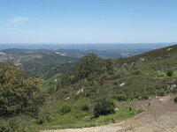 P, Faro, Monchique, Foia 44, Saxifraga-Willem van Kruijsbergen