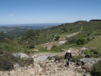 P, Faro, Monchique, Foia 45, Saxifraga-Willem van Kruijsbergen