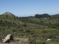 P, Faro, Monchique, Foia 48, Saxifraga-Willem van Kruijsbergen