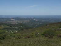 P, Faro, Monchique, Foia 49, Saxifraga-Willem van Kruijsbergen