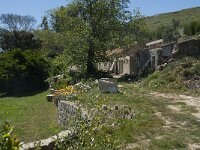 P, Faro, Monchique, Foia 5, Saxifraga-Willem van Kruijsbergen