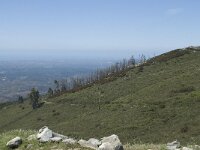 P, Faro, Monchique, Foia 6, Saxifraga-Willem van Kruijsbergen