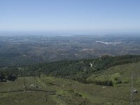 P, Faro, Monchique, Foia 8, Saxifraga-Willem van Kruijsbergen