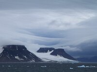 RUS, Archangelsk, Semlja Franza-Iossifa 1, Saxifraga-Franziska Guepner