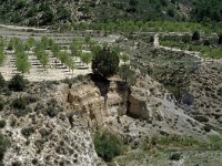 E, Teruel, Riodeva, El Val 2, Saxifraga-Jan van der Straaten