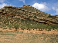 E, Teruel, Villel 1, Saxifraga-Jan van der Straaten