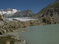 CH, Wallis, Riederalp, Grosser Aletschgletscher 18, Saxifraga-Willem van Kruijsbergen