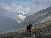 CH, Wallis, Saas-Almagell, Ofental 17, Saxifraga-Jan van der Straaten