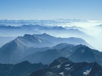 CH, Wallis, Saas-Almagell, Weissmies 14, Saxifraga-Jan van der Straaten