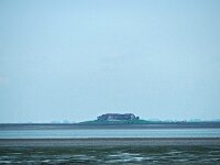 D, Schleswig-Holstein, Norderhafen, Nordstrand 3, Saxifraga-Hans Dekker