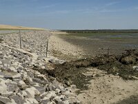 D, Schleswig-Holstein, Nordstrand, Dreisprung 3, Saxifraga-Jan van der Straaten