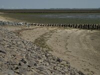 D, Schleswig-Holstein, Nordstrand, Dreisprung 4, Saxifraga-Jan van der Straaten