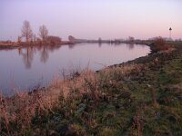 NL, Gelderland, Rheden, Havikerwaard 17, Saxifraga-Henk Sierdsema